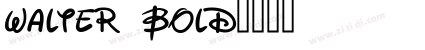 Walter Bold字体转换